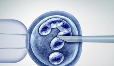 试管婴儿卵泡质量不好的原因有那些？女性试管期间如何提升卵泡的质量？