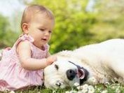 子宫内膜增厚可用中药治疗，吃这些药效果较好