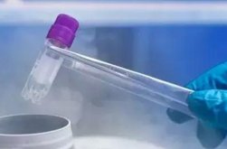 深圳北大医院试管婴儿各环节总结