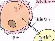 医生支招：首都北京如何提高三代试管婴儿成功率？