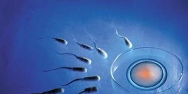 成功率高仅为其一!3分钟看懂俄罗斯试管婴儿的4大优势